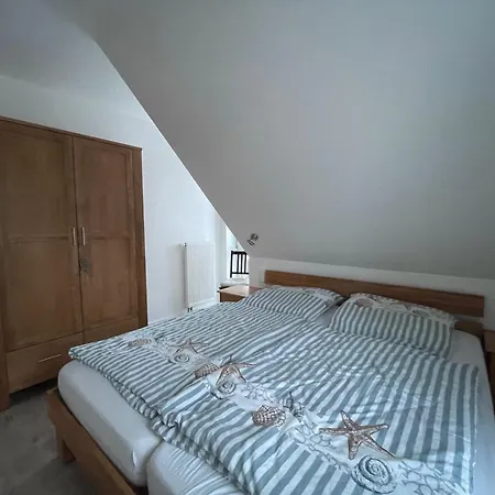 Brandungskieker